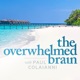 The Overwhelmed Brain