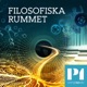 Filosofiska rummet