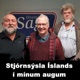 Stjórnsýsla Íslands í mínum augum