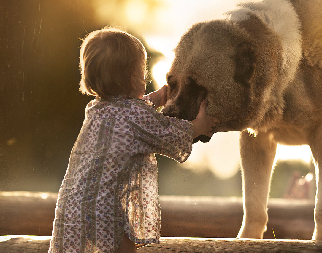 Say Hello To 500px ISO With Elena Shumilova