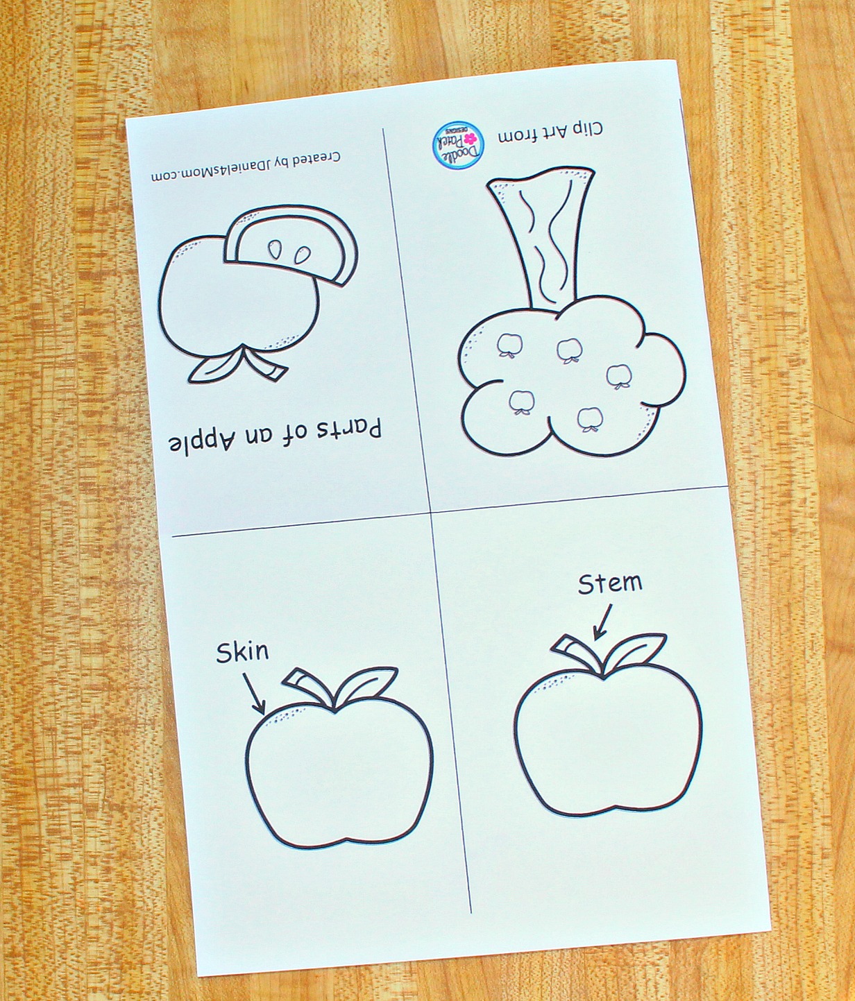 The Parts of an Apple Printable Read and Color Book For Parts Of An Apple Worksheet