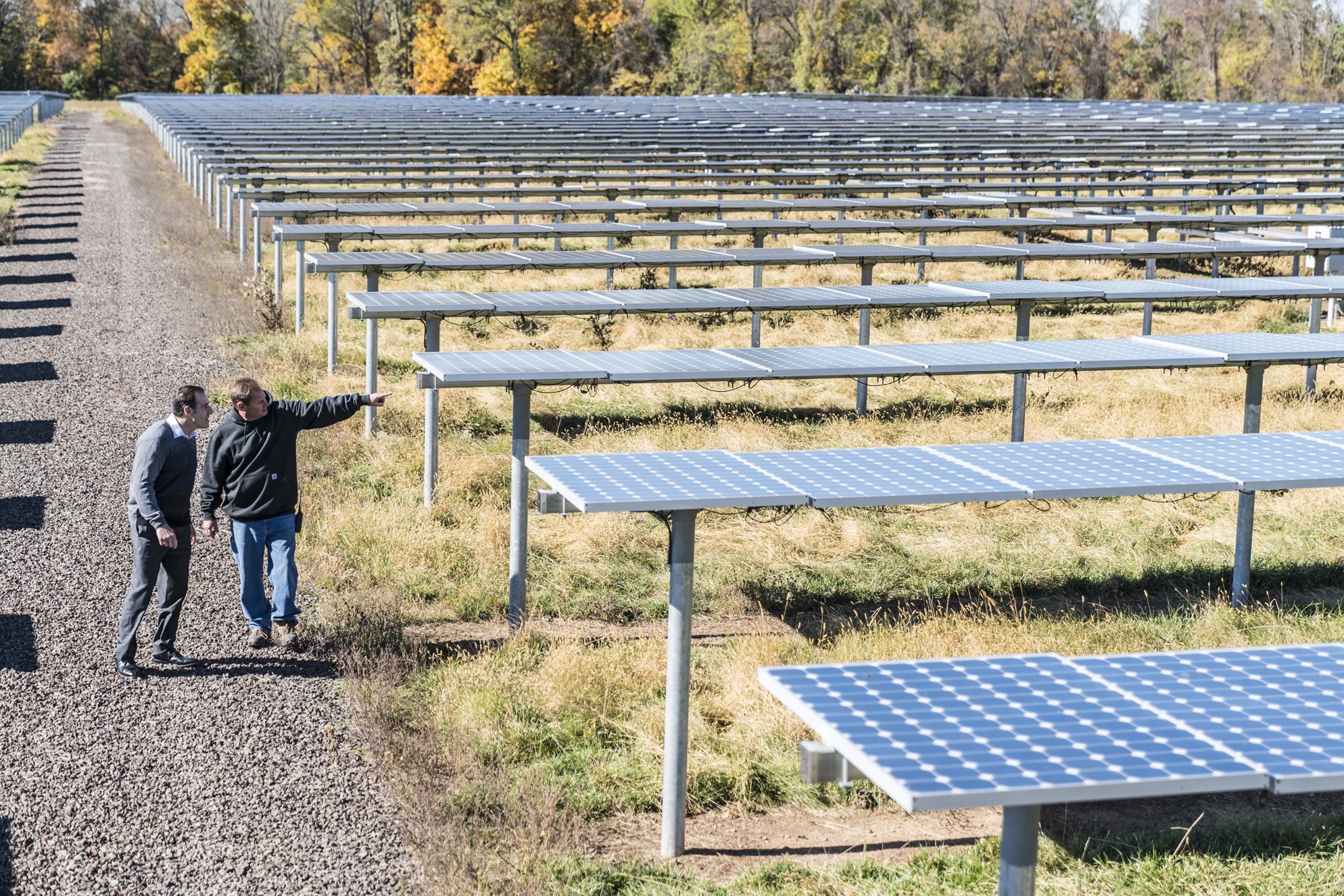 Men walking through rows of solar panels in a field