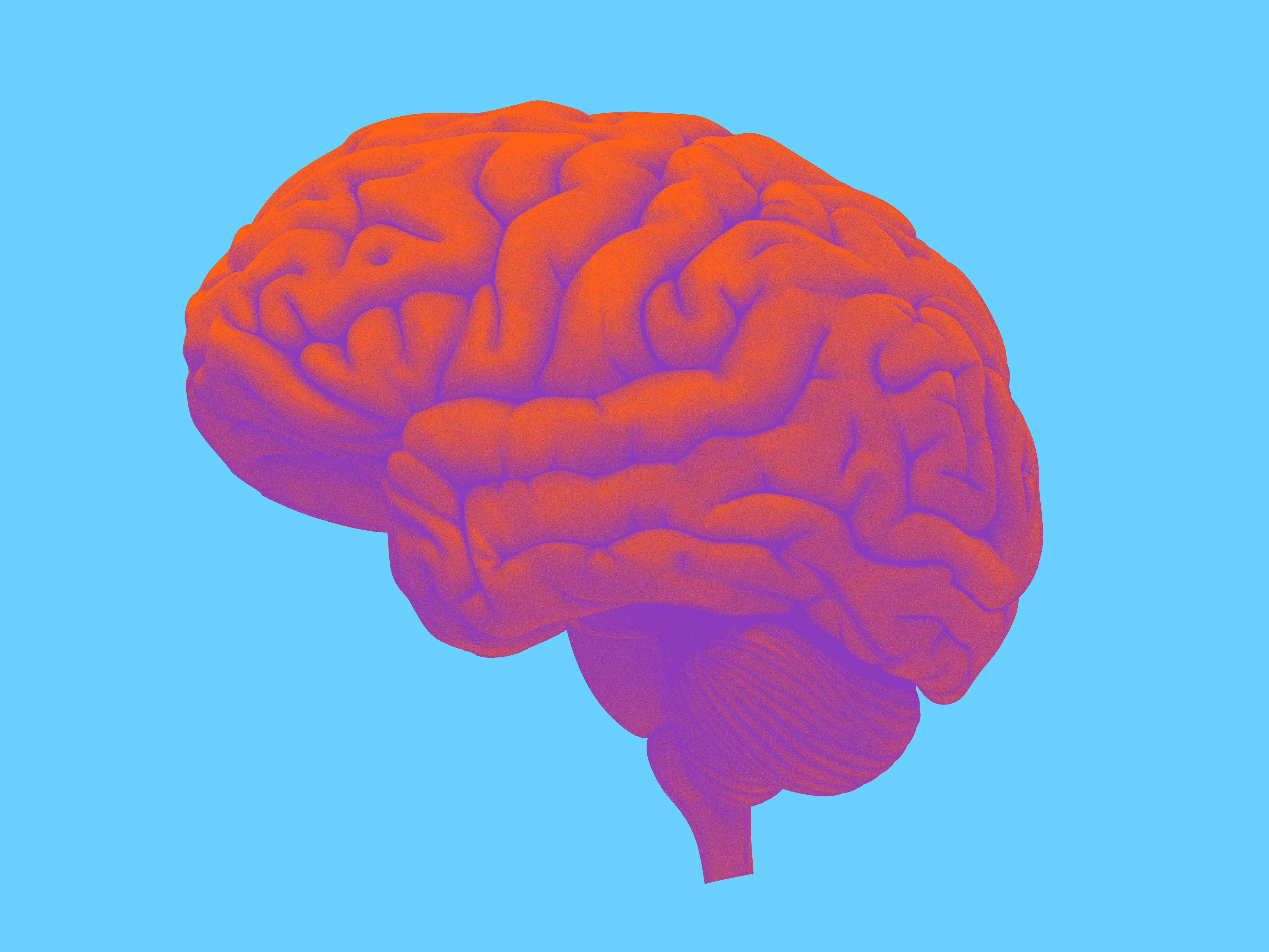 3D ilustration of a purple brain on a blue background 