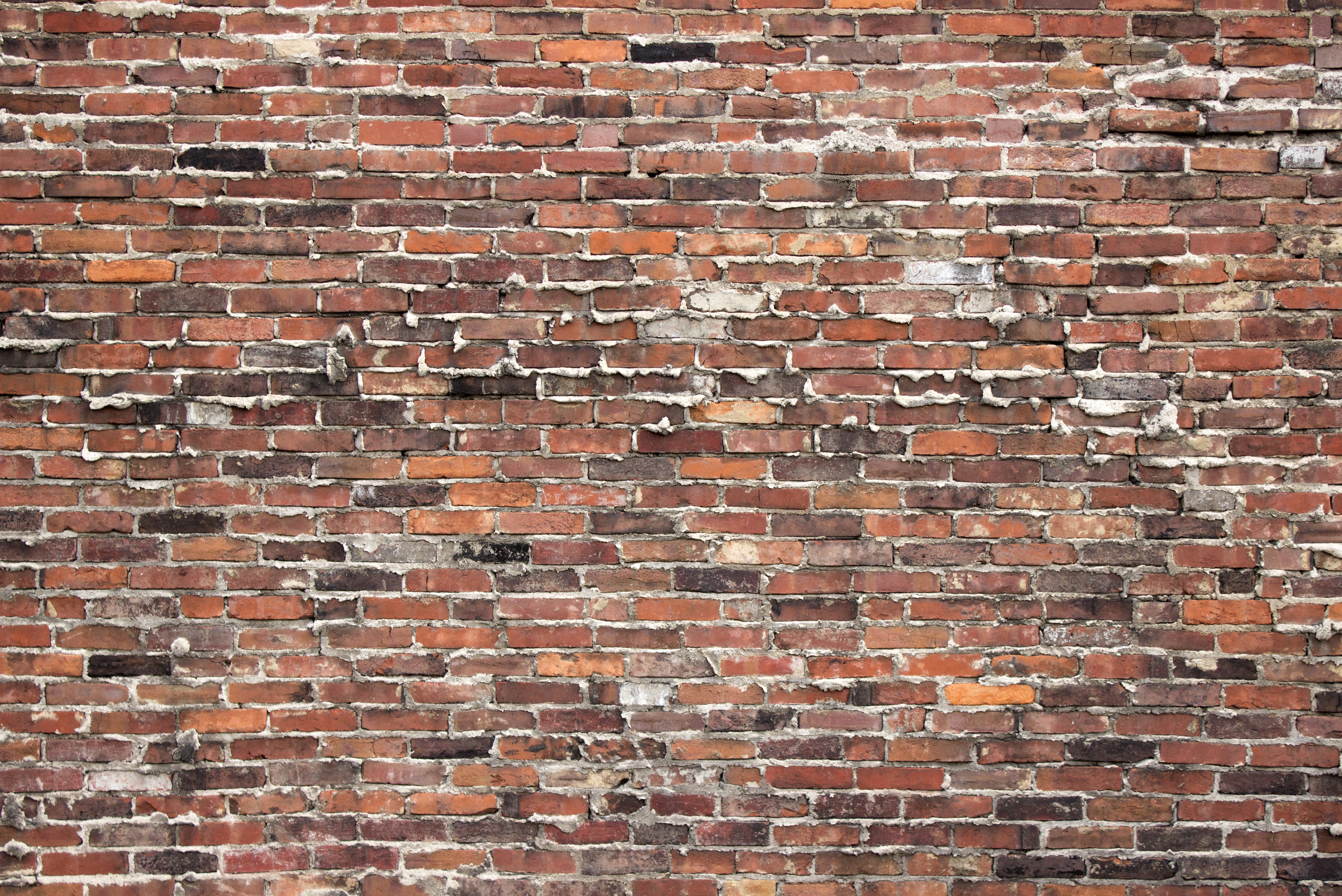 Brick texture photo