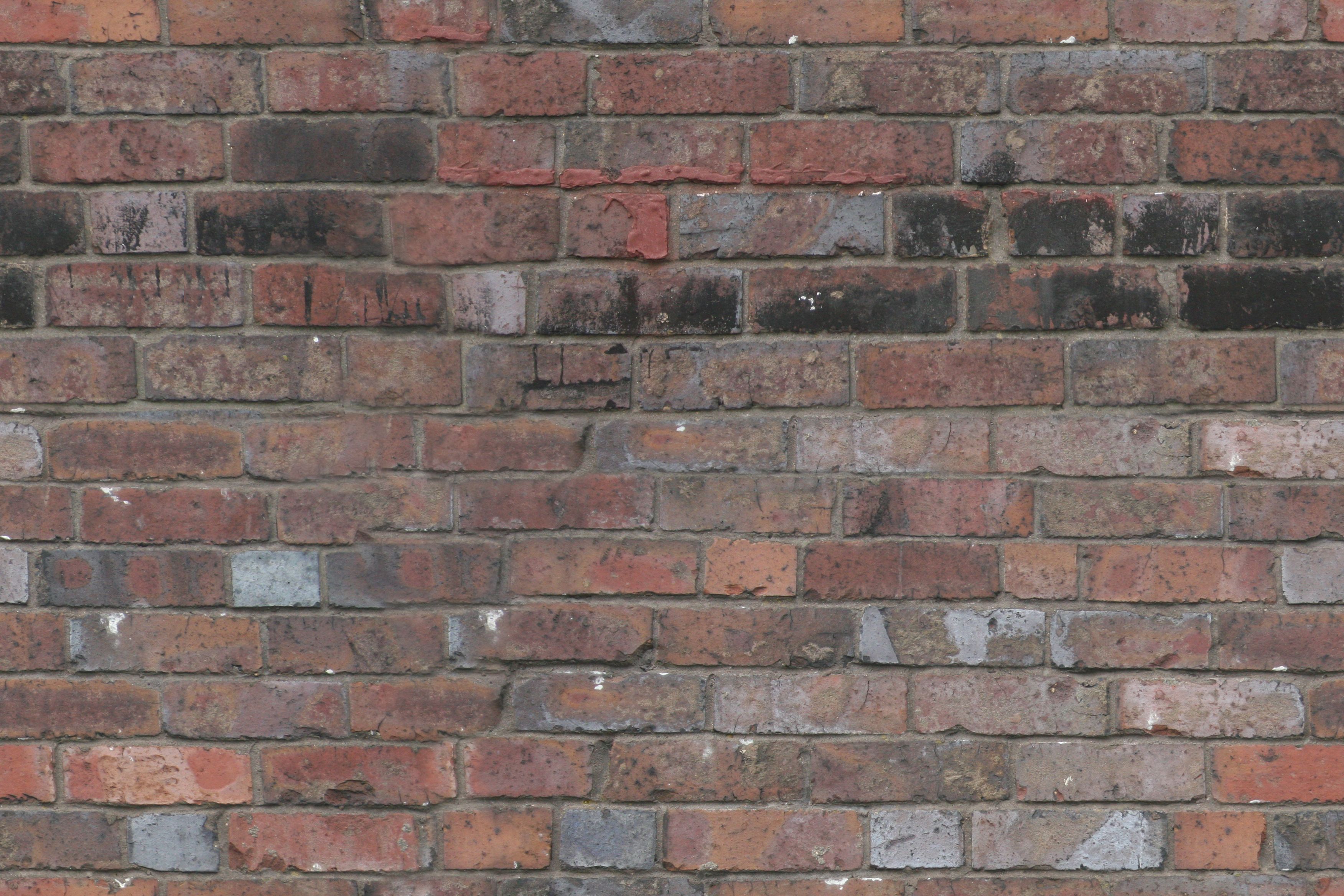 Brick texture photo