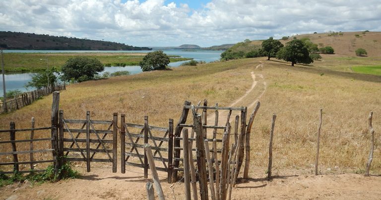 Imagem de uma paisagem semiárida, de pouca vegetação