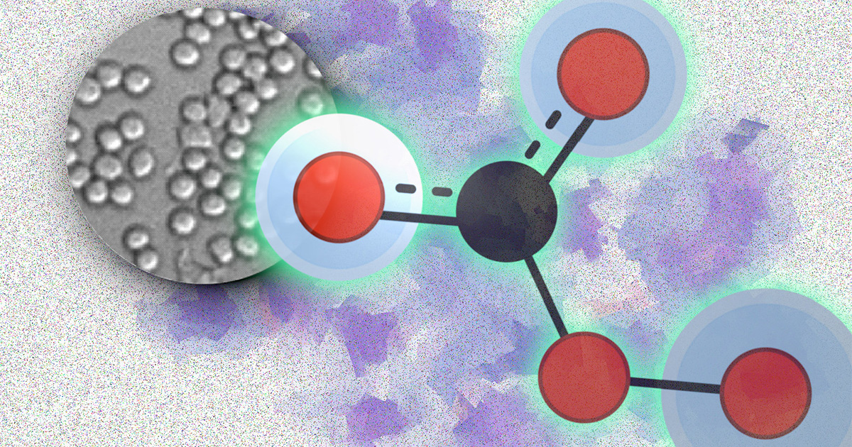 imagem microscópica de células humanas ao lado da ilustração de uma molécula de CO2