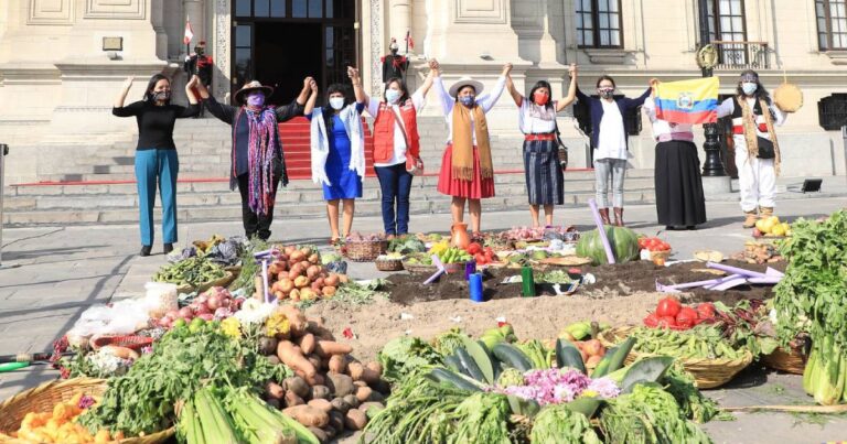 Imagem: Grupo de mulheres indígenas reunidas em frente a um jardim