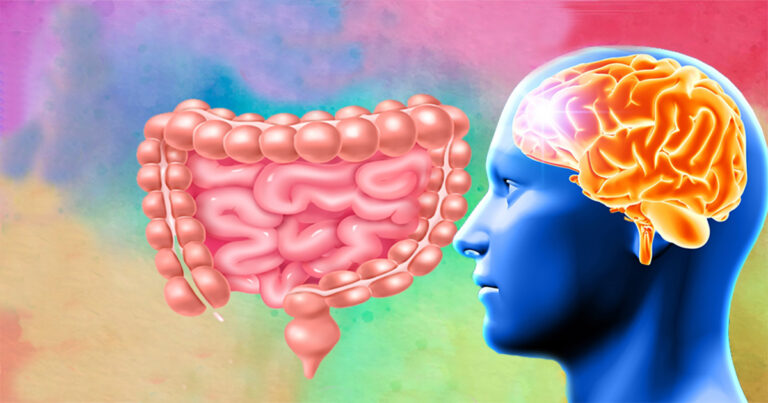 Desenho representativo de um intestino ao lado de uma pessoa com o cérebro destacado. O fundo é um colorido de aquarela