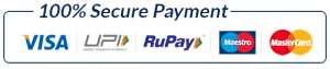 Secure Payment Options