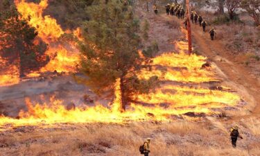 wildfire, cal fire arson, sonoma county