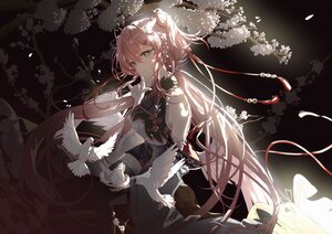 Rating: Safe Score: 57 Tags: a999212 animal bird dress flowers green_eyes long_hair original pink_hair ribbons thighhighs tree User: BattlequeenYume