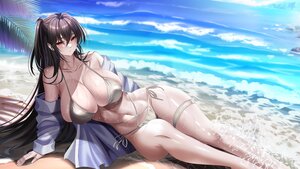 Rating: Questionable Score: 15 Tags: anthropomorphism azur_lane beach bikini black_hair blush breasts cleavage garter long_hair navel open_shirt ponytail red_eyes swimsuit taihou_(azur_lane) water wet yuuzuki_hijiri User: BattlequeenYume