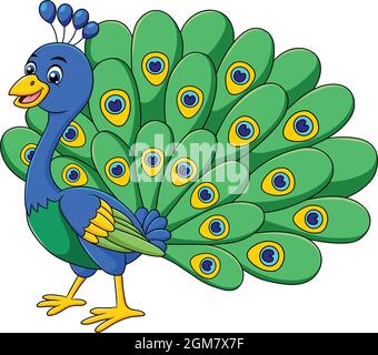 Cute Peacock bird cartoon vector illustration Stock Vector