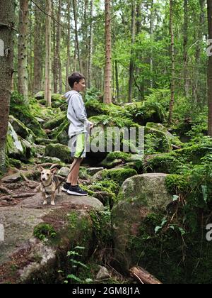 Young boy walks the small dog in summer forest Stock Photo