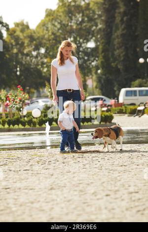 Boy is walking the dog Stock Photo