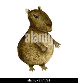 Cute animals of South America watercolor illustration hand drawn wildlife isolated. Capibara Stock Photo