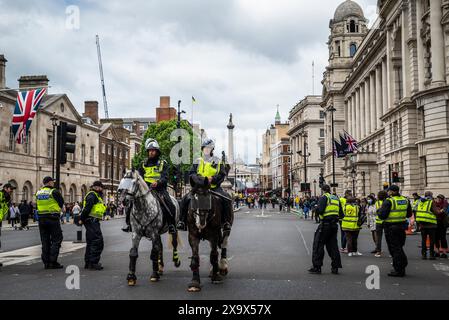 Mounted police in the Whitehall, London, England, UK Stock Photo