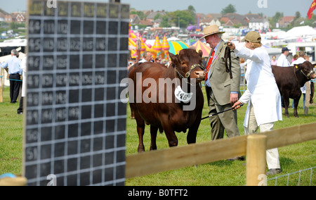 Heathfield & District Agricultural Show. Crowds flock to the county show held in May. Judging of cattle in progress Stock Photo