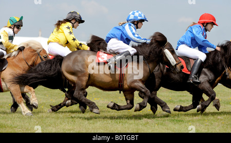 Heathfield & District Agricultural Show. Crowds flock to the county show held in May. The Shetland pony Grand National. Stock Photo