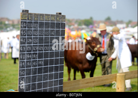 Heathfield & District Agricultural Show. Crowds flock to the county show held in May. Judging of cattle in progress Stock Photo