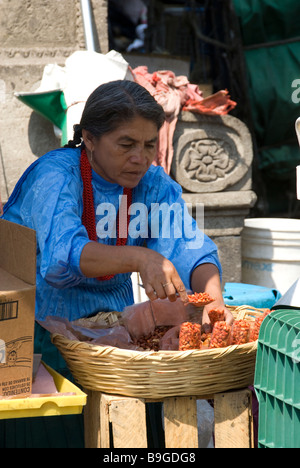 a mexican woman, Mexico city Stock Photo