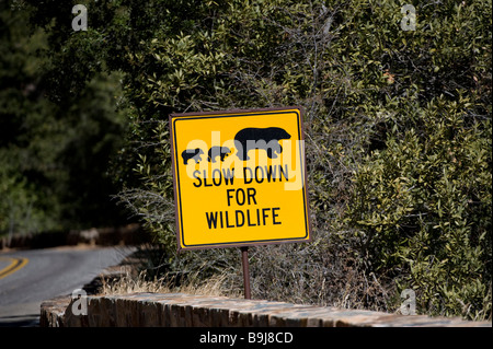 'Slow down for wildlife', warning sign wildlife crossing, Sequoia National Park, California, USA Stock Photo