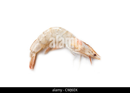 Uncooked Whiteleg Shrimp or King prawn on a white studio background. Stock Photo