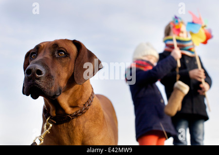 Gazing dog with boy and girl and paper windmills at coast Stock Photo