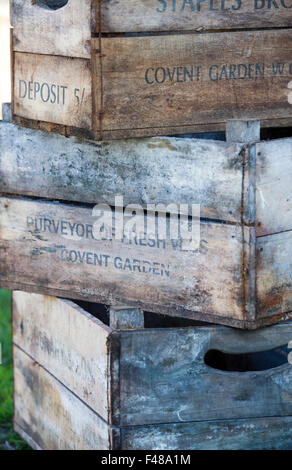 Wooden vegetable boxes / crates on a stall at an Autumn Show. UK Stock Photo