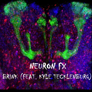 'Neuron FX - Single' için resim