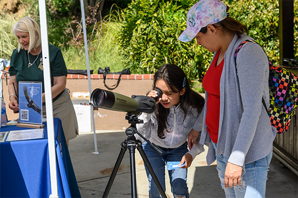 Condor spotting at the LA Zoo for people of all ages to view the spectacular birds.