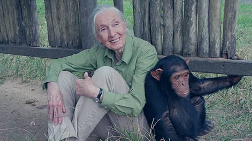 Jane Goodall Institute