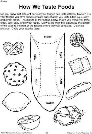 Food Taste Worksheet For Kindergarten