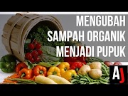 Menarik Cara Mengolah Sampah Organik Menjadi Pupuk Metode Takakura , Paling Heboh!