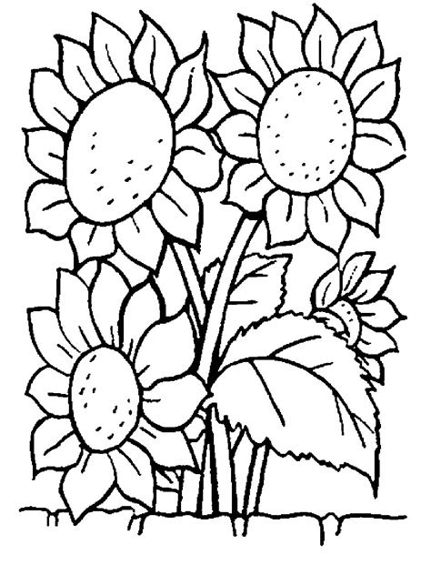 Looking for free printable flower coloring pages and floral pictures to color in? print download some common variations of the flower coloring pages