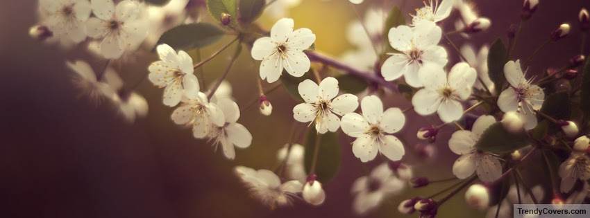 Spring Facebook Covers For Timeline Trendycovers Com