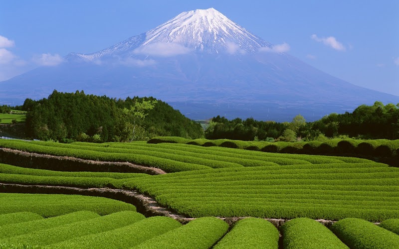 20+ Foto Pemandangan Gunung Dan Sawah, Yang Indah!