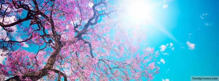 Spring Facebook Covers For Timeline Trendycovers Com