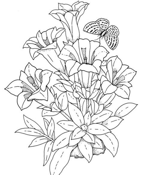 Flower coloring pages for kids & adults. detailed flower coloring pages to download and print for free