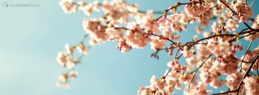 Spring Facebook Covers