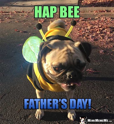 Quotes Happy Fathers Day Funny Meme