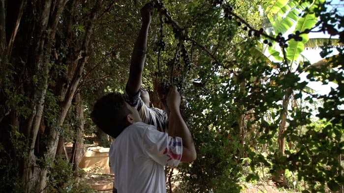 Aprendendo no Quintal