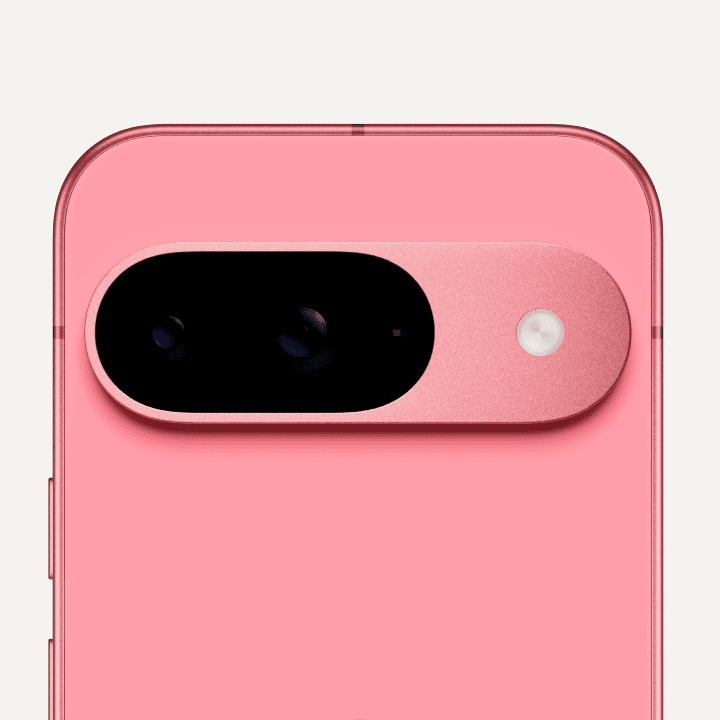 Close-up on the back of a Pixel 9 in Peony color.