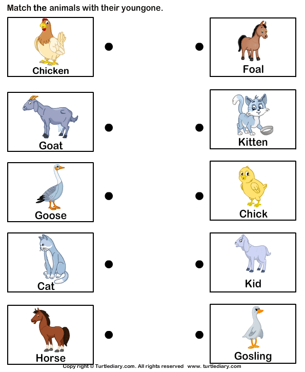 animal worksheet: NEW 157 ANIMAL BABIES WORKSHEET