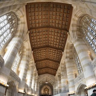 image of the ceiling of sterling memorial library