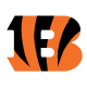 Cincinnati Bengals image