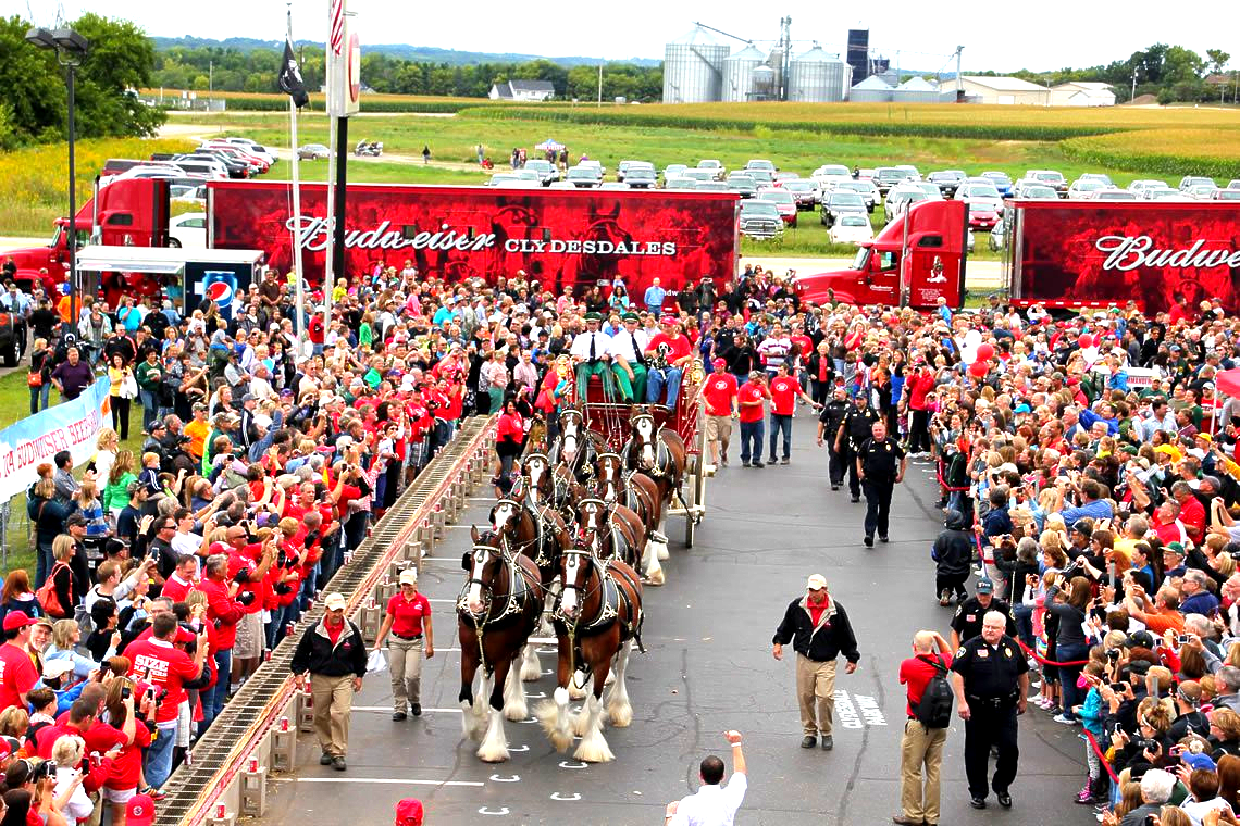 Longest Budweiser Beer Brat: Ptacek's IGA sets world record (PICS & VIDEO)