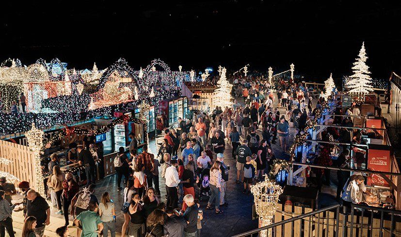 World’s Largest Christmas Light Maze: world record in Saint Petersburg, Florida