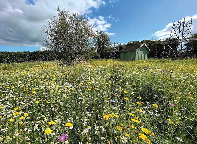 EU Mandates Biodiversity Restoration, Setting Up New ‘Green’ Requirements Alongside ‘Clean’ Ones for Power Sector